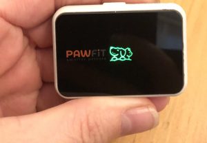 Pawfit flashing light